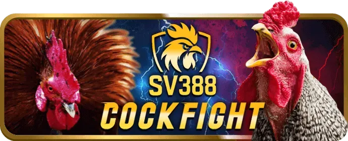 Ưu đãi nạp tiền hàng ngày Bong365