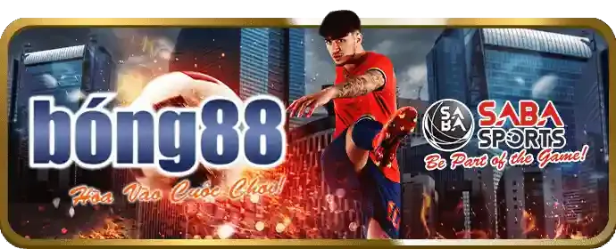 Hỗ trợ email bong365